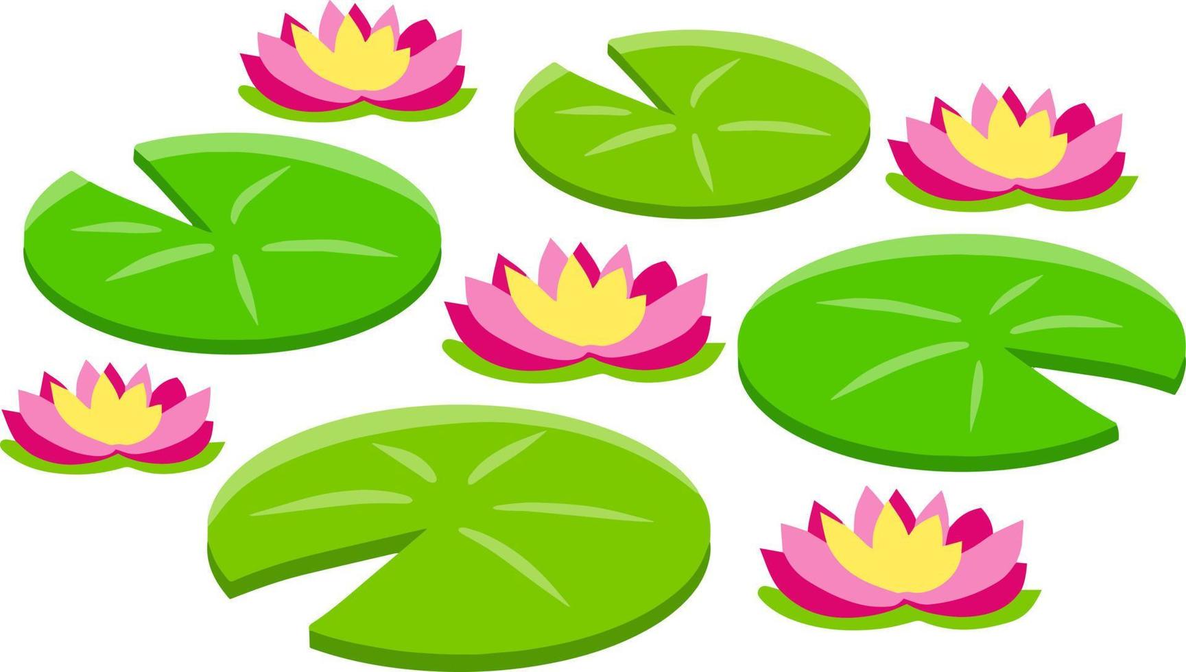 Nenuphars. Water lily. Plant on lake and reservoir. Big green leaf. Element of nature, forest and wild life. Swamp Pink flowers. Flat cartoon vector