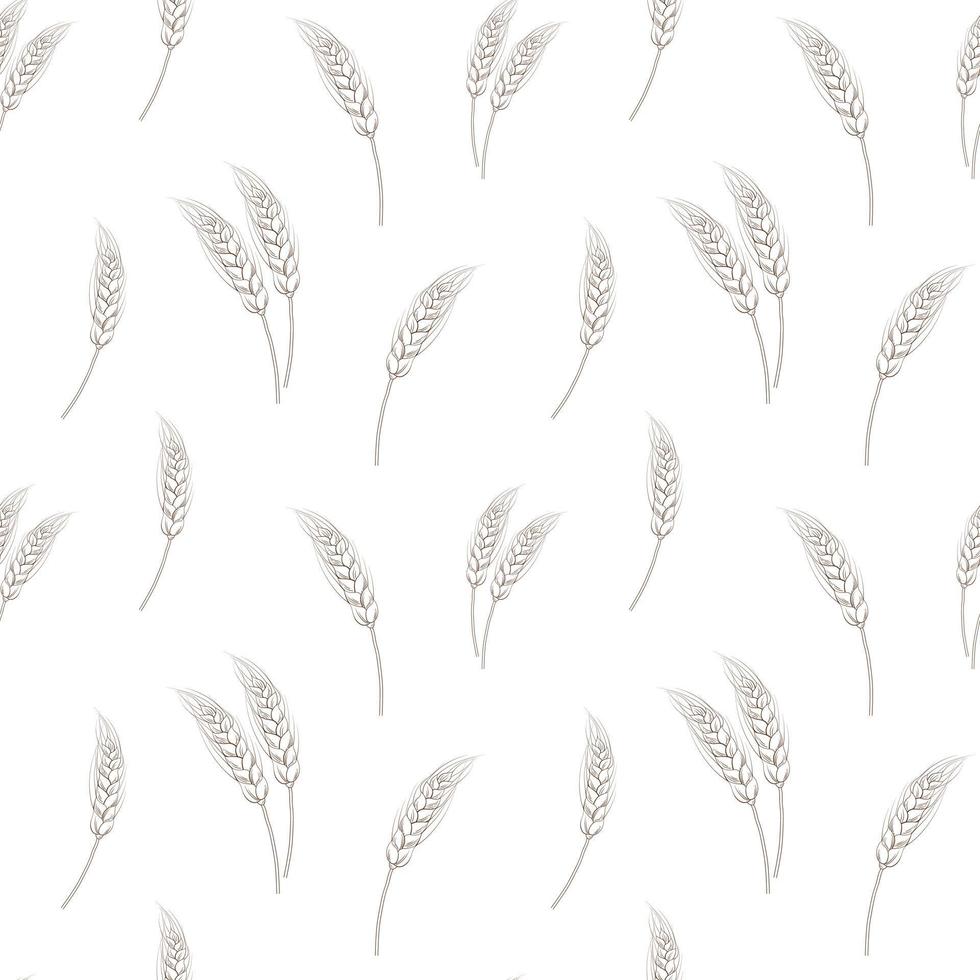 Wheat seamless pattern on white background in hand drawn style for bakery menu design, oat element vector