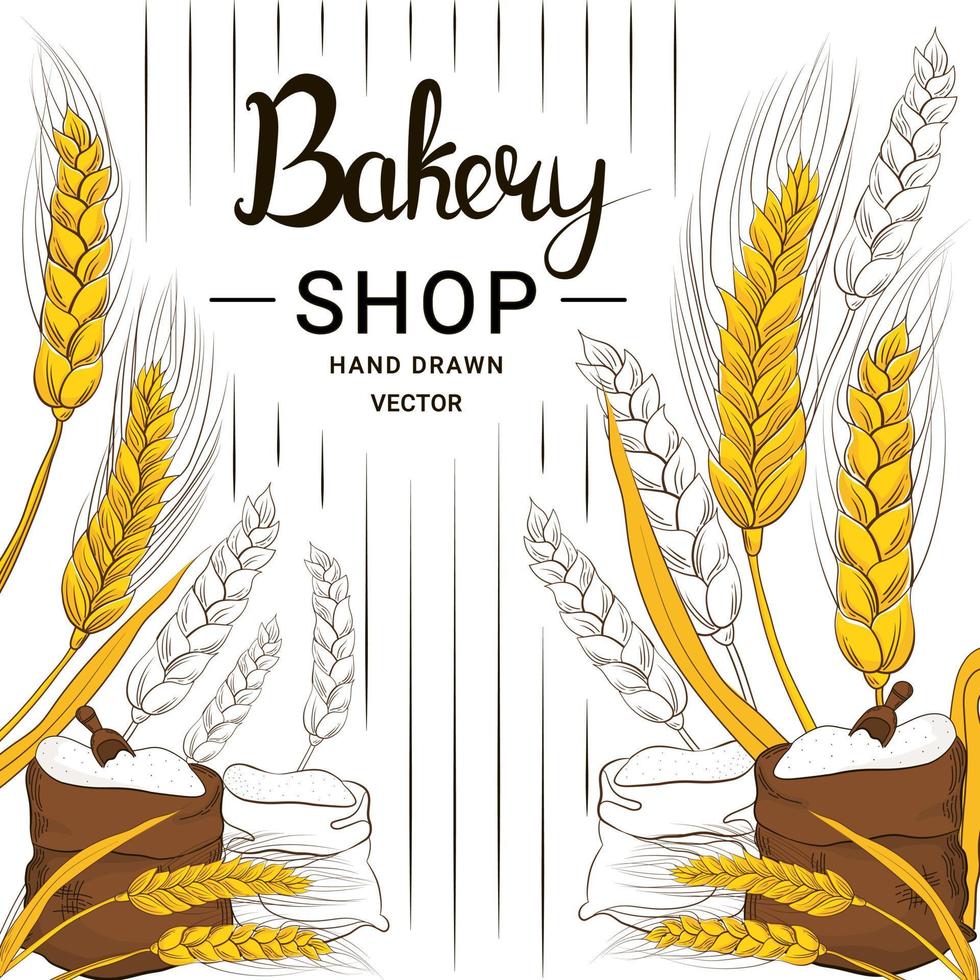 Wheat harvest and flour in hand drawn style for bakery shop design on white background, grain products, food banner vector