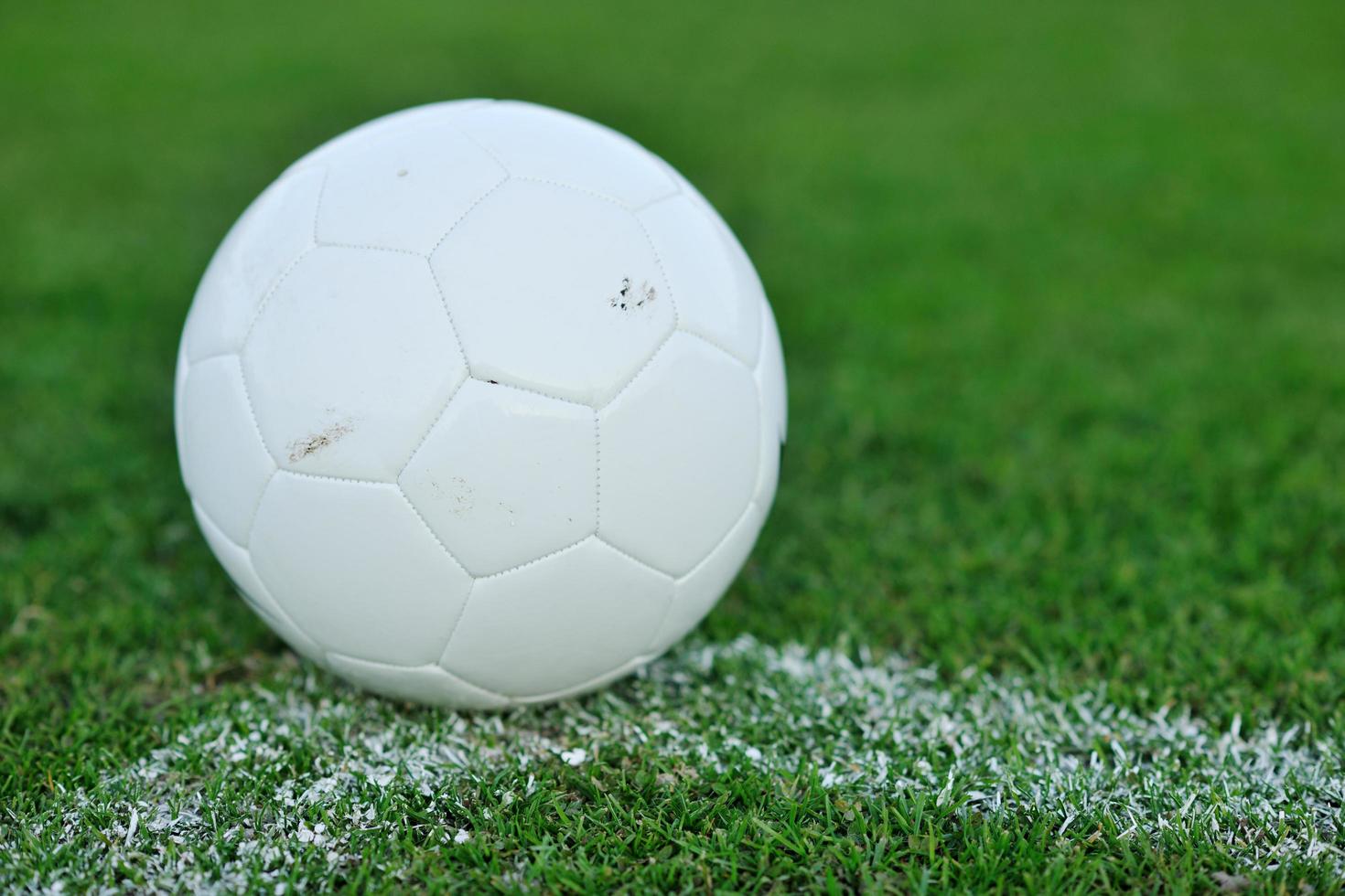 Balón de fútbol sobre el césped en el gol y el estadio en segundo plano. foto