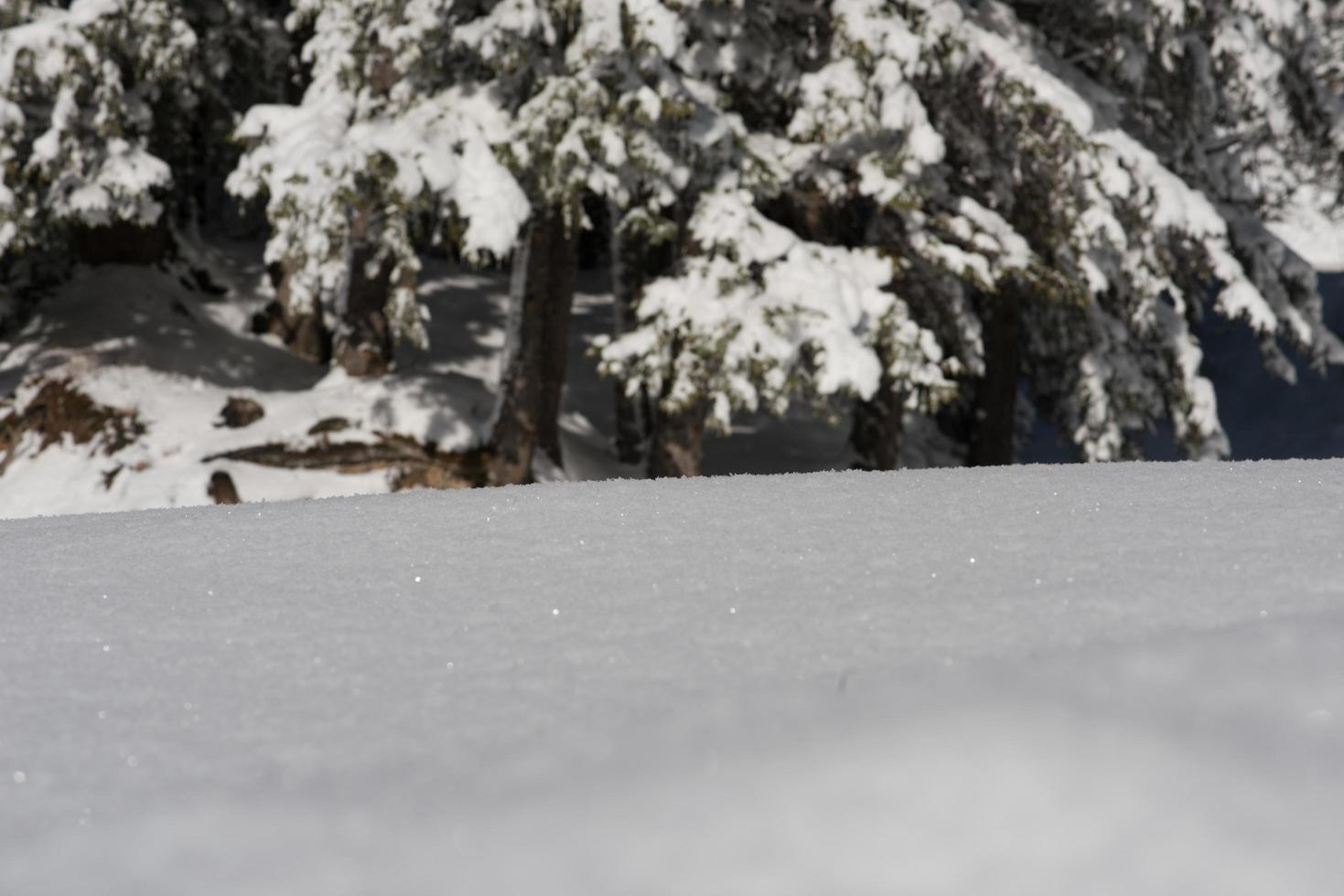 Winter landscape view photo