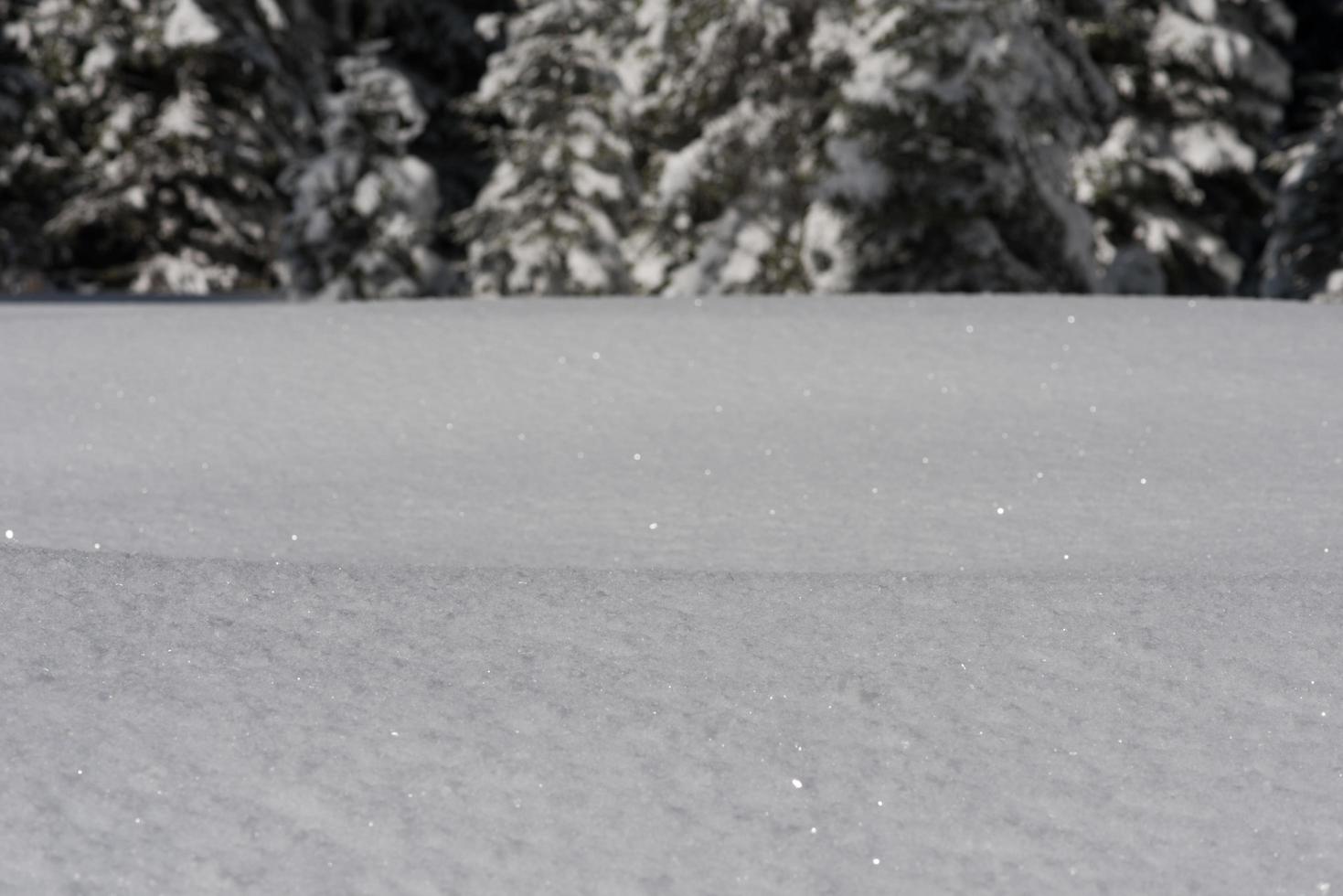 Winter snow background photo