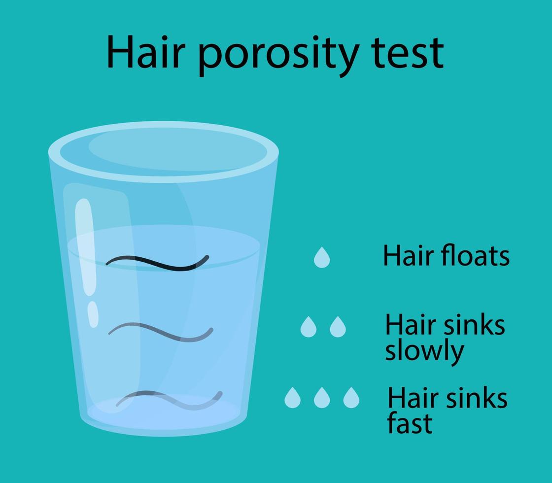 prueba de porosidad del cabello. el pelo flota en un vaso de agua. ilustración de estilo de dibujos animados vector