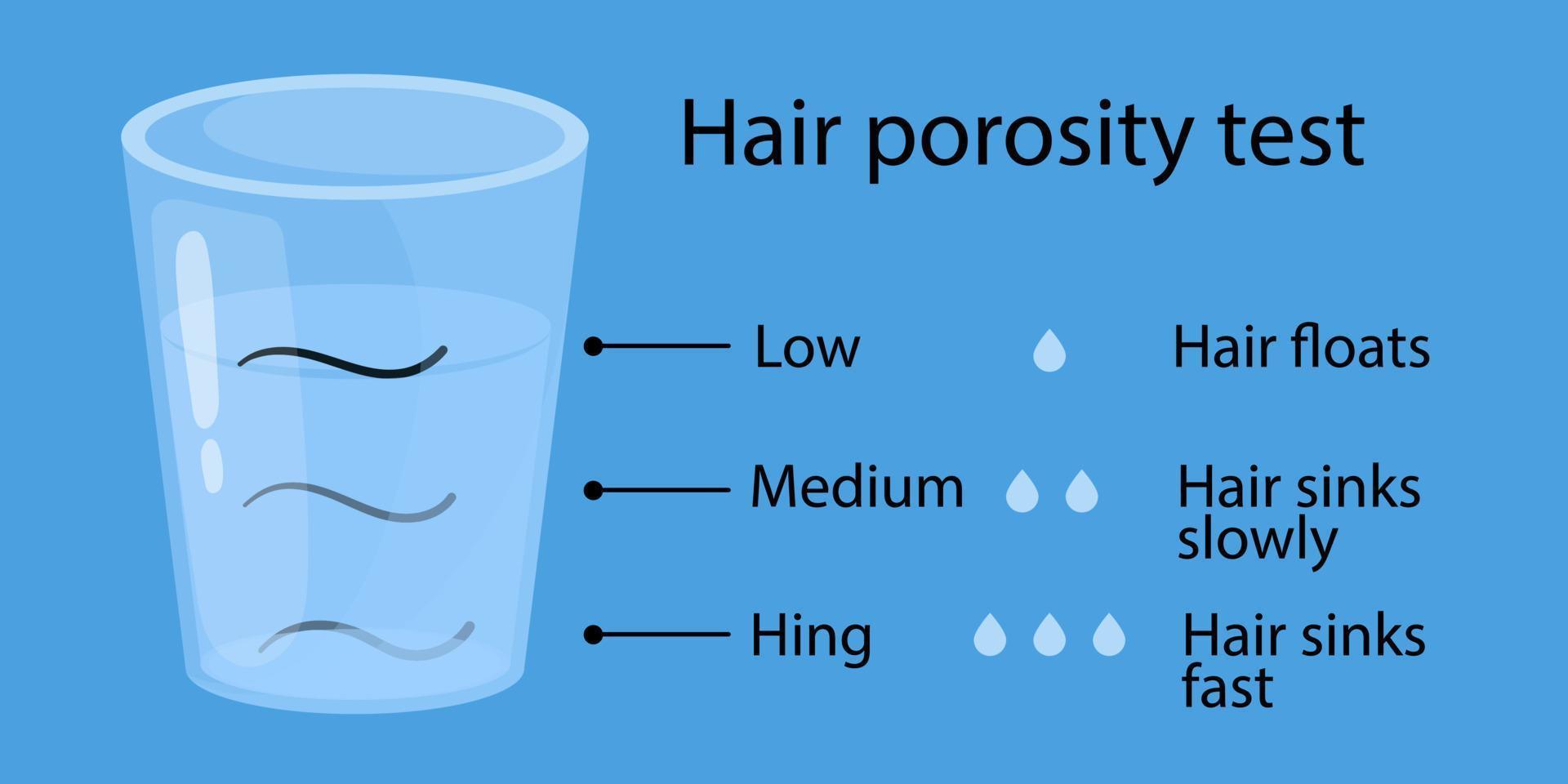 prueba de porosidad del cabello. el pelo flota en un vaso de agua. ilustración de estilo de dibujos animados vector