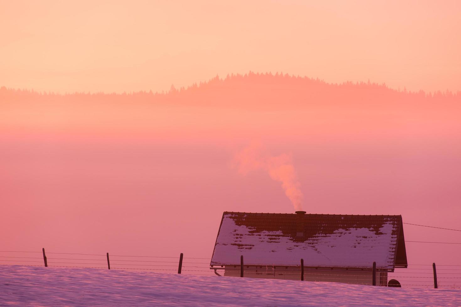 paisaje invernal escénico con árbol solitario foto