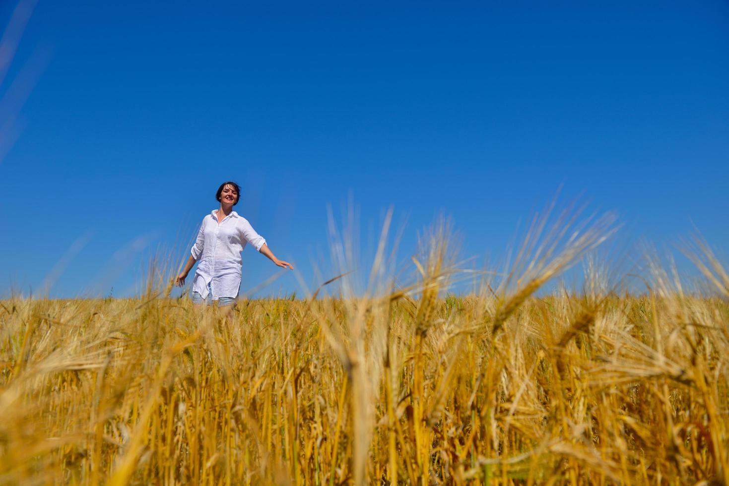 mujer joven en campo de trigo en verano foto