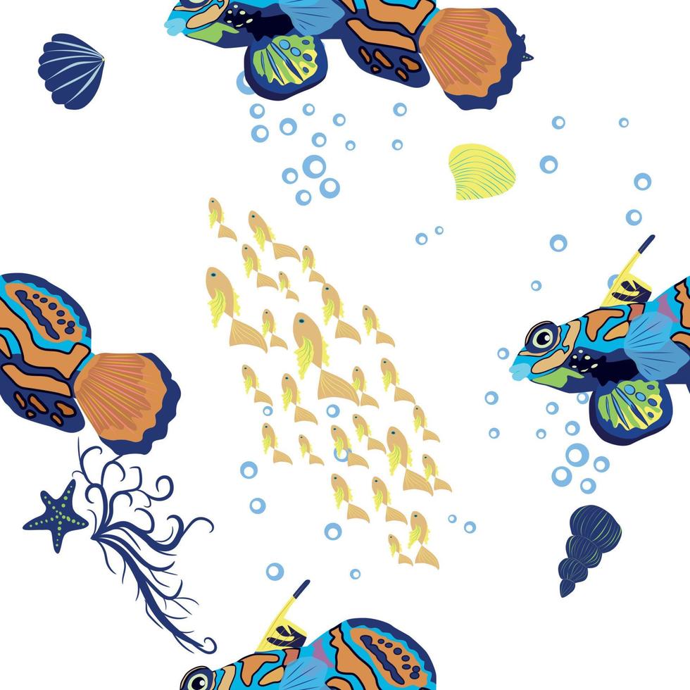 patrones sin fisuras de pez mandarín. hermoso carácter entre conchas marinas, algas, estrellas de mar, carácter de vida silvestre de animales marinos. naturaleza bajo el agua, peces marinos del zoológico del océano salvaje. vector