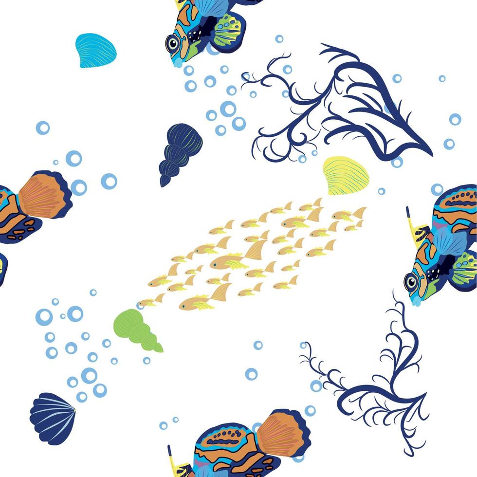 patrones sin fisuras de pez mandarín. hermoso carácter entre conchas marinas, algas, estrellas de mar, carácter de vida silvestre de animales marinos. naturaleza bajo el agua, peces marinos del zoológico del océano salvaje. vector