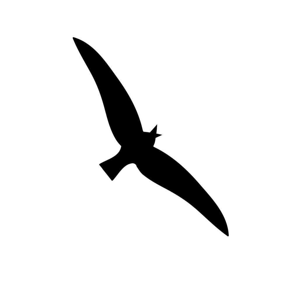 Flying seagull silhouette. Vector illustration in monochrome style on white background.