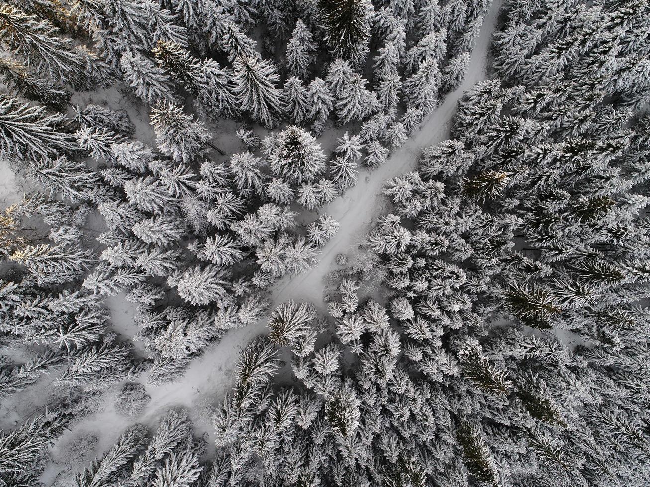 Winter landscape view photo