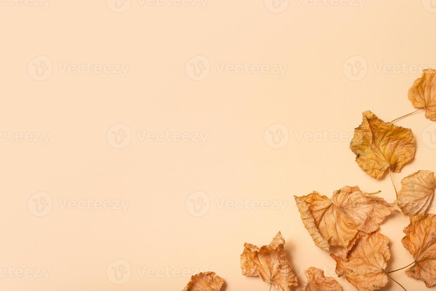 Autumn composition. Frame made of dried leaves on pastel beige background. Autumn, fall concept. Flat lay, top view, copy space photo