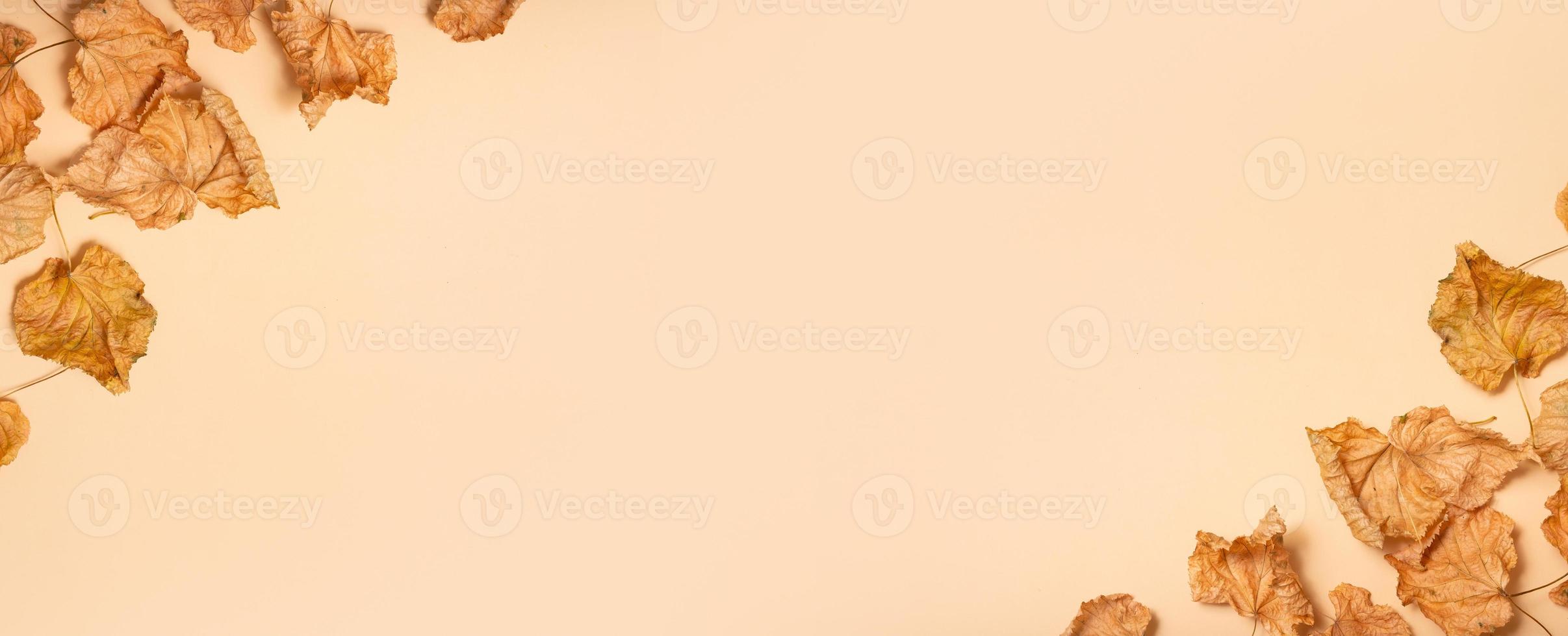 Autumn banner. Frame made of dried leaves on pastel beige background. Autumn, fall concept. Flat lay, top view, copy space photo