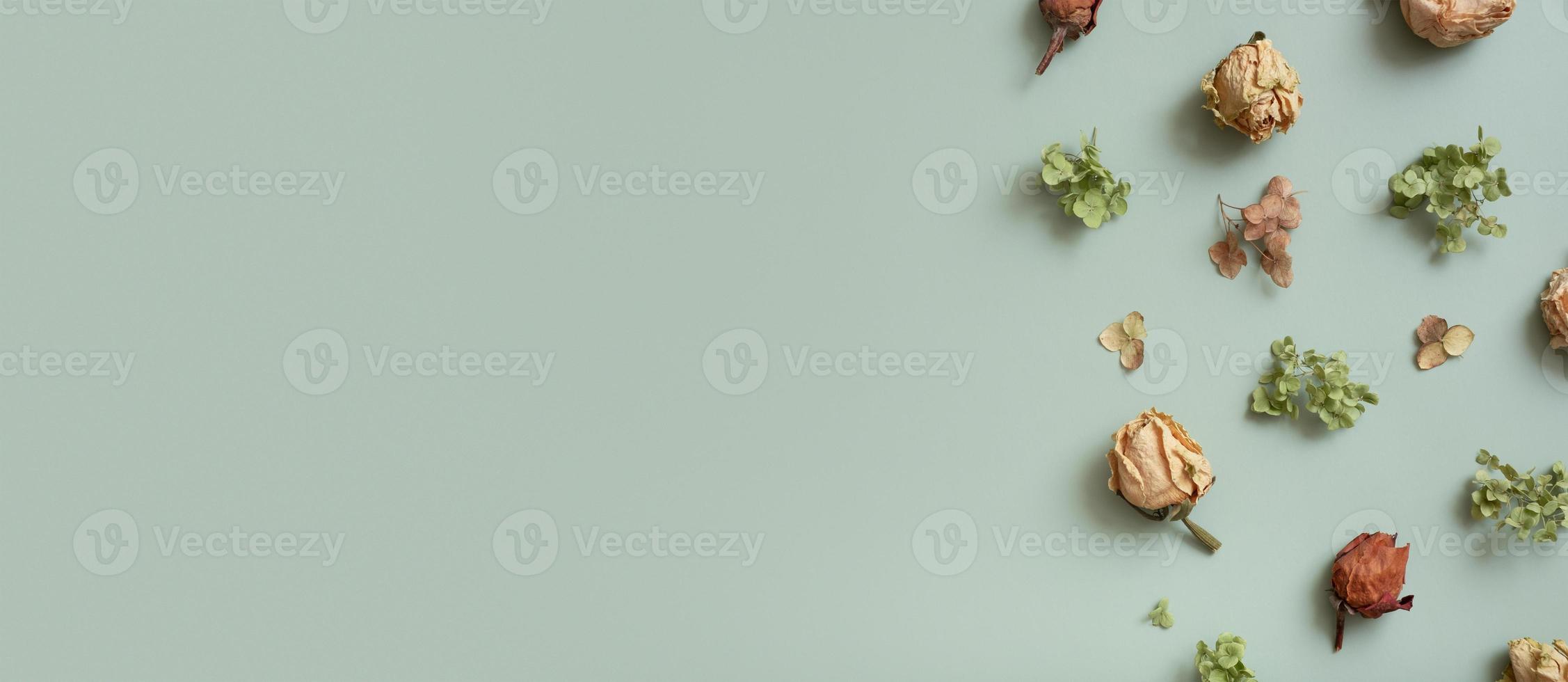 Banner with autumn pattern flat lay with from dried hydrangea flowers, roses and petals on pastel green colored background. Top view, copy space photo
