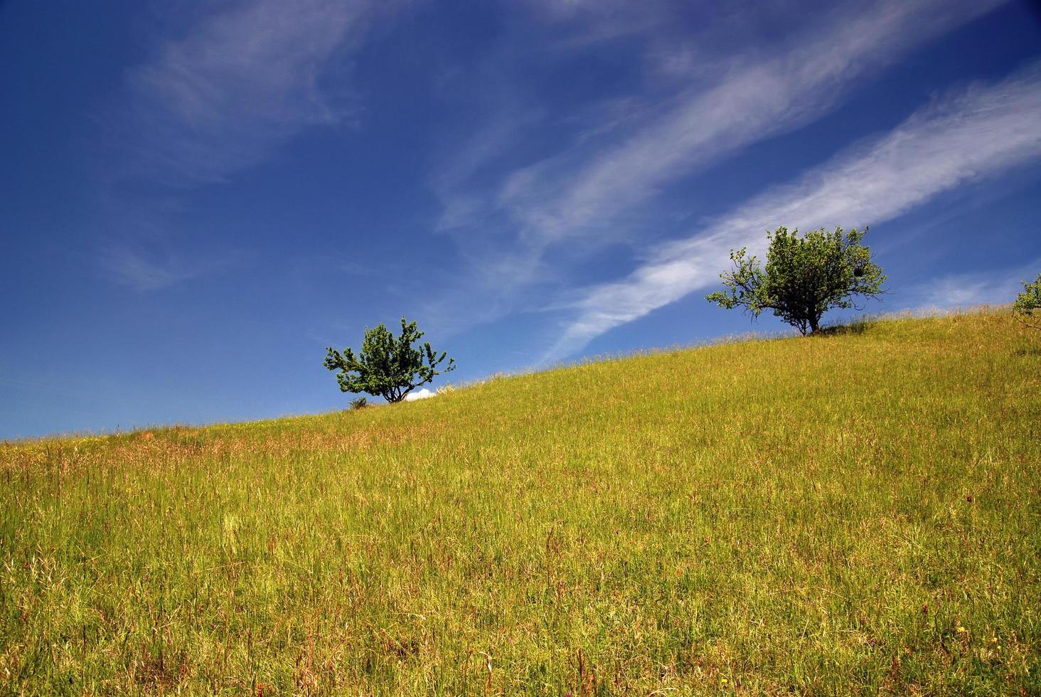 Nature landscape view photo