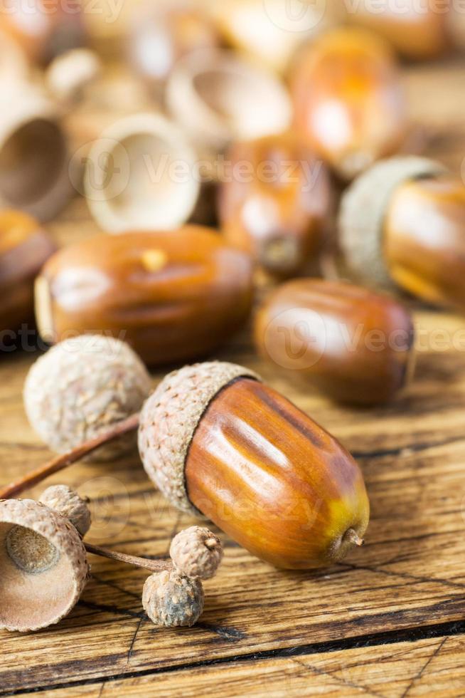 Oak acorns on wooden rustic background. Autumn concert. Selective focus photo