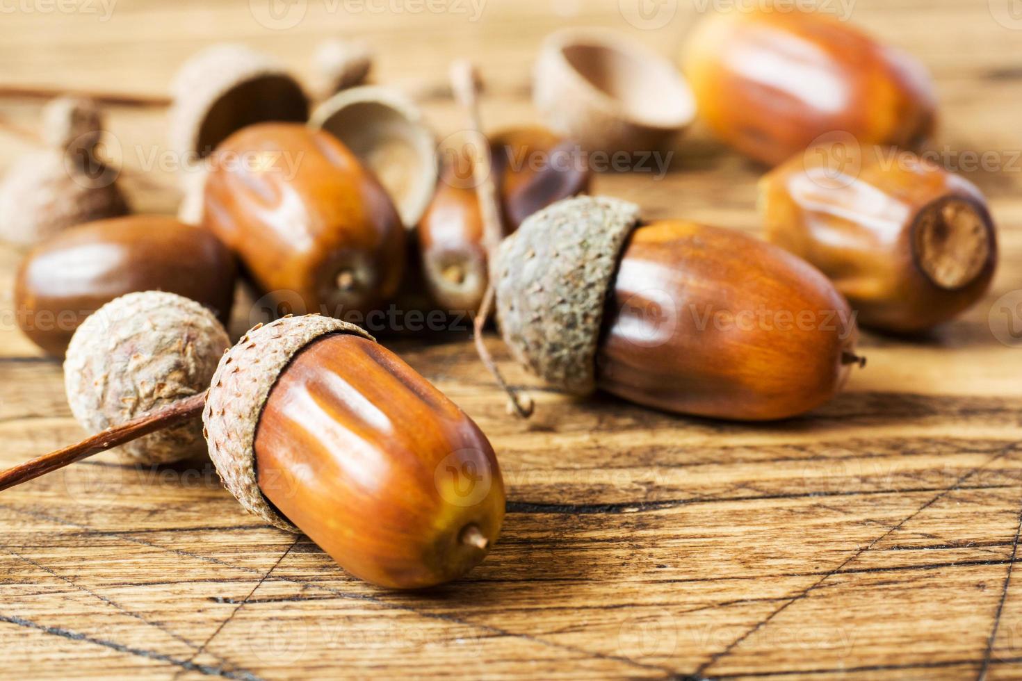 Oak acorns on wooden rustic background. Autumn concert. Selective focus photo