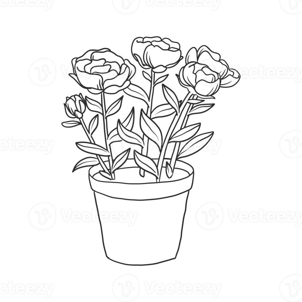 House Plant Illustration 11639511 PNG house-plant-illustration-11639511-png