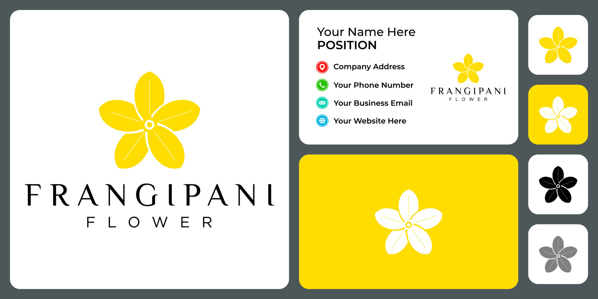 Frangipani flower logo design with business card template. 11639764