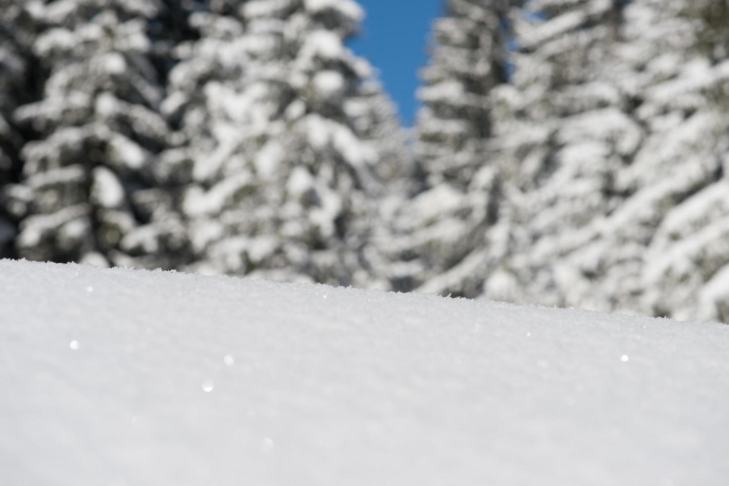 fondo de nieve de invierno foto