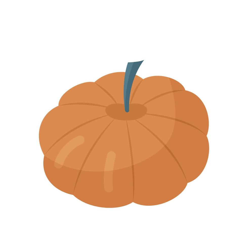 ilustración plana de calabaza vector