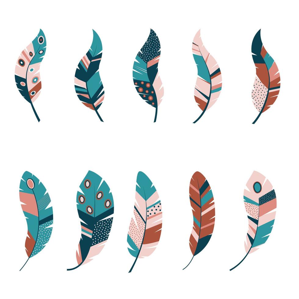 set of ornate feathers vector