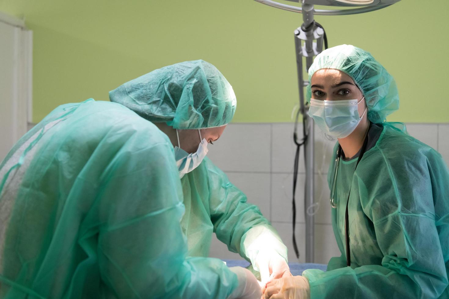 cirugía abdominal real en un gato en un hospital foto