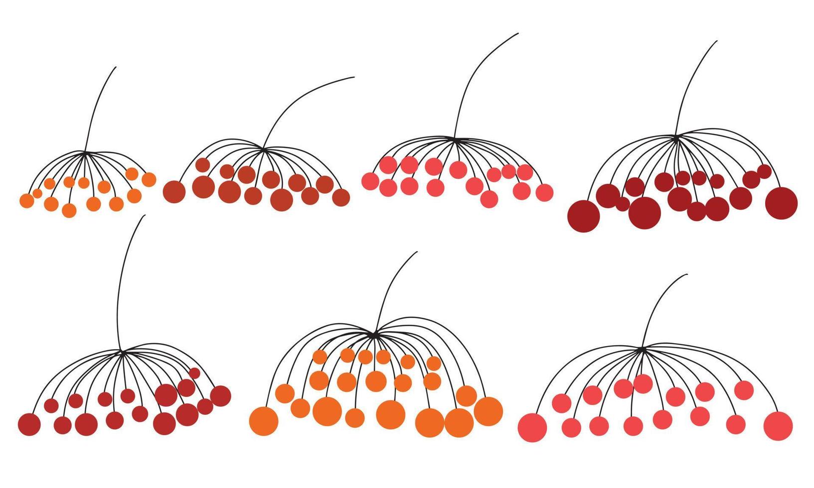 Set of different types branch with berry for Christmas decor. Hand draw illustration vector