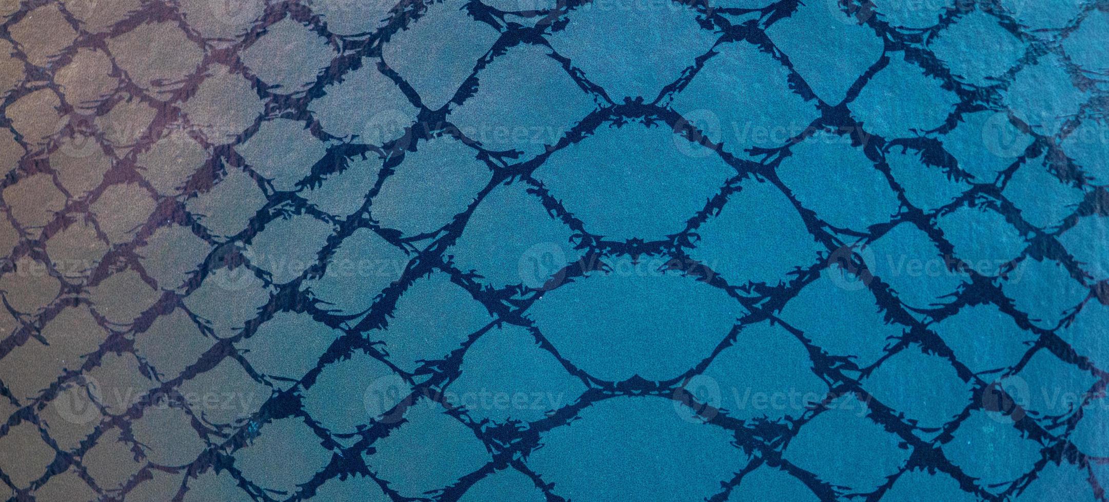 snake skin view photo