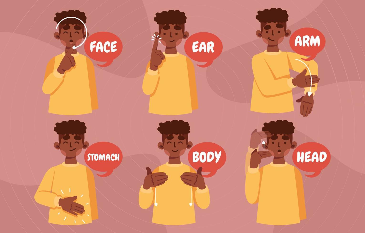 lenguaje de señas americano para las partes del cuerpo vector