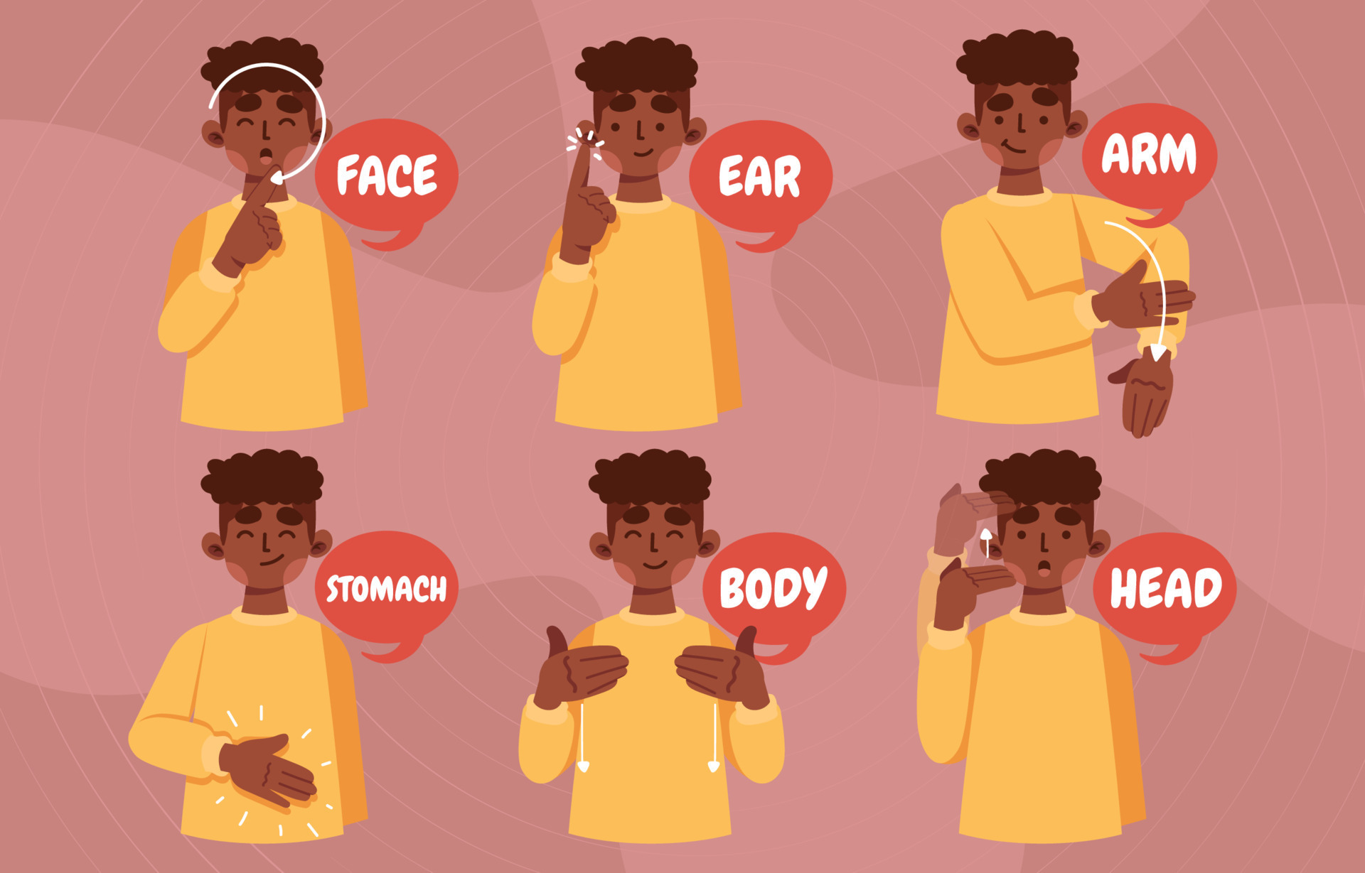 American Sign Language For Body Parts 11642362 Vector Art At Vecteezy american-sign-language-for-body-parts-11642362-vector-art-at-vecteezy