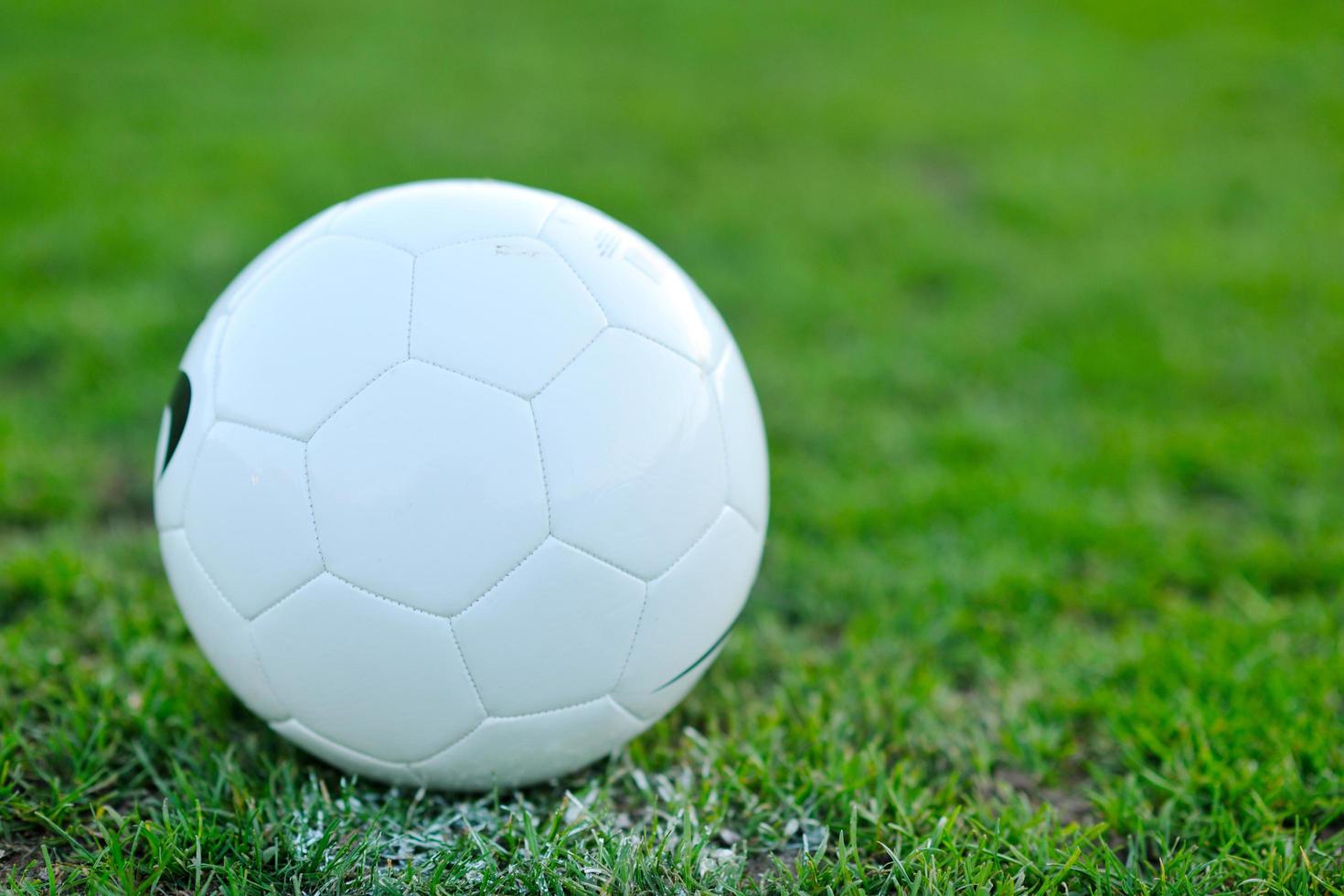 Soccer ball on grass at goal and stadium in background photo