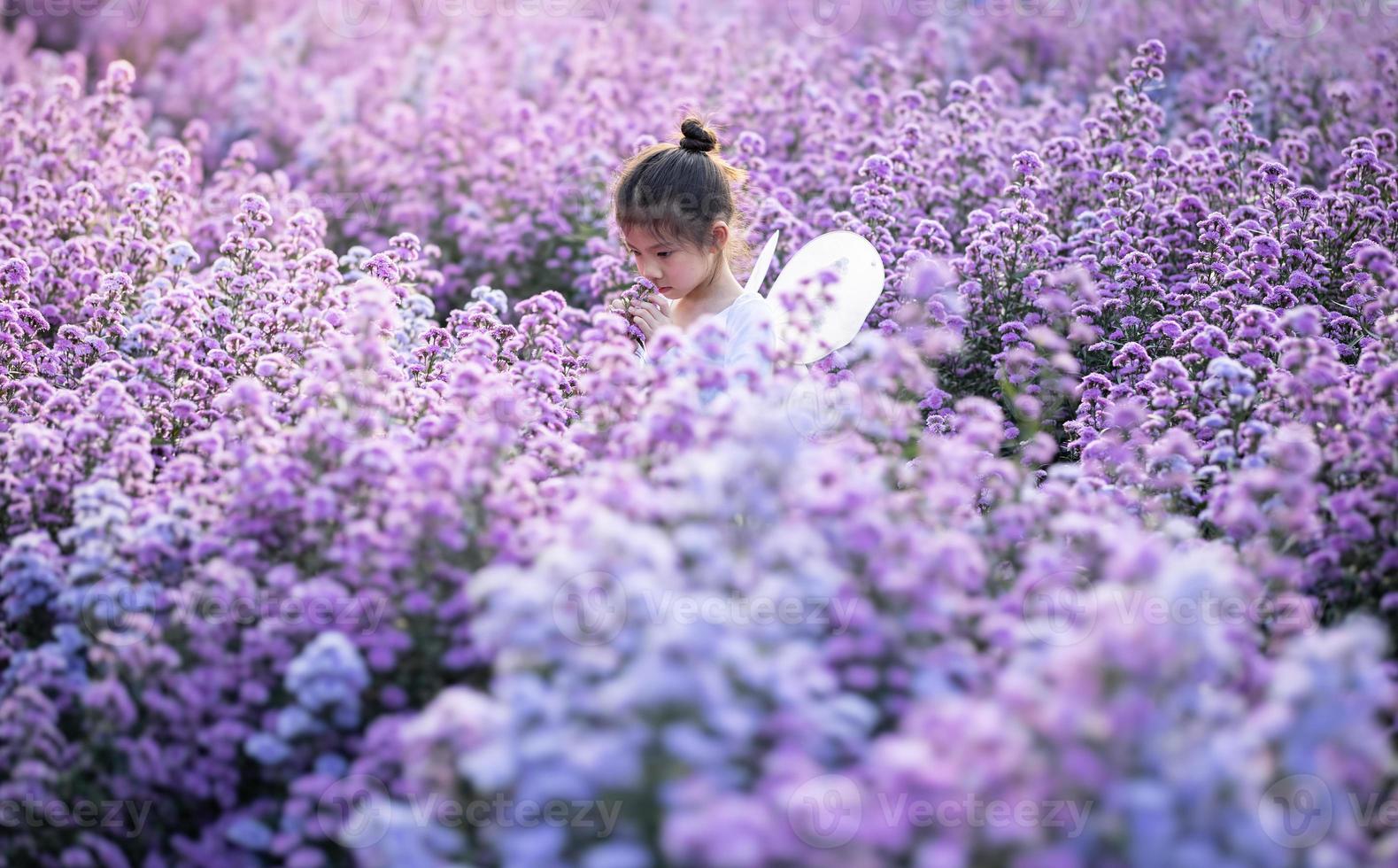Cute little girl smelling flowers and wear a magic ballet fairy costume in beautiful purple of margaret flowers field. photo