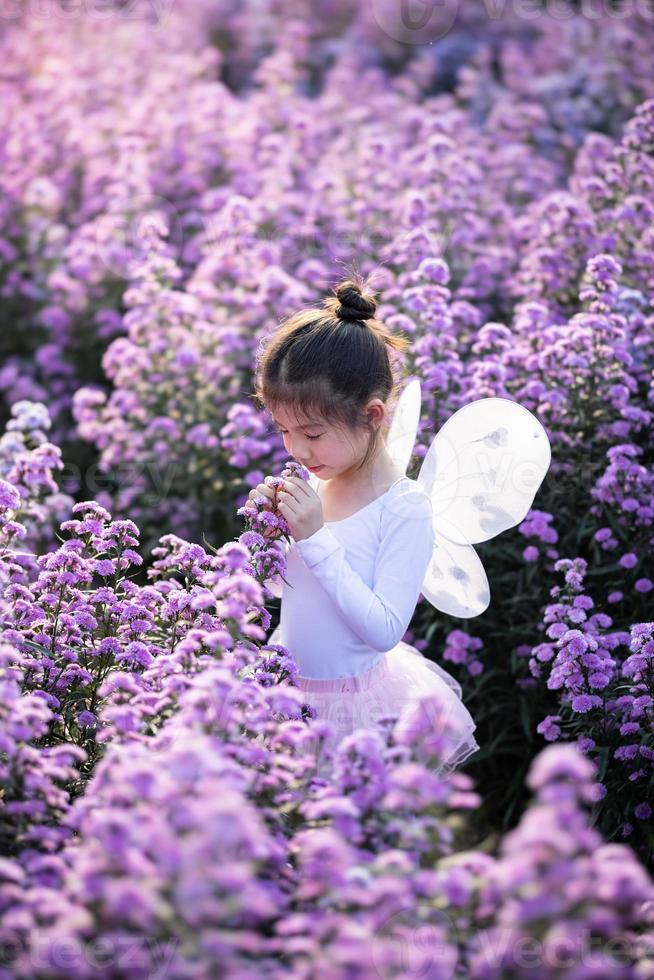 linda niñita oliendo flores y vistiendo un traje de hada de ballet mágico en el hermoso campo de flores púrpura de margaret. foto