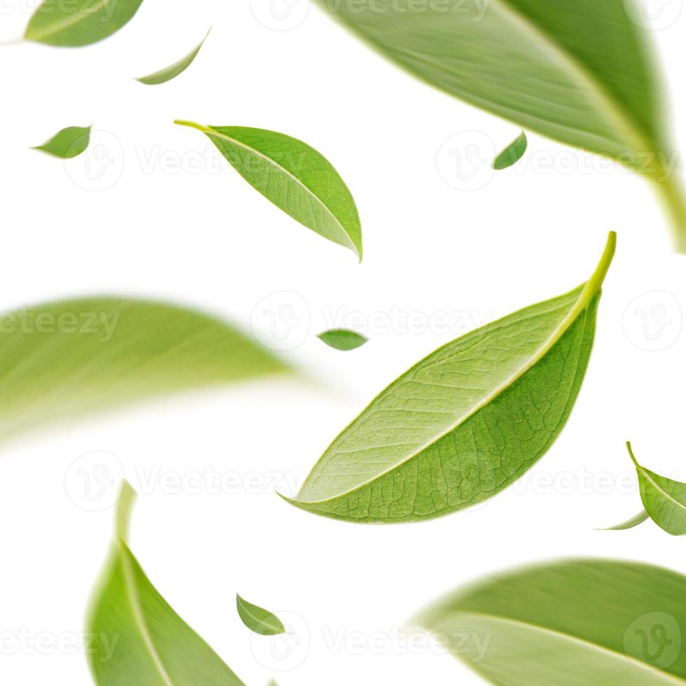 Flying whirl green tea leaves in the air, Healthy products by organic natural ingredients concept, Studio shot isolated on white background photo