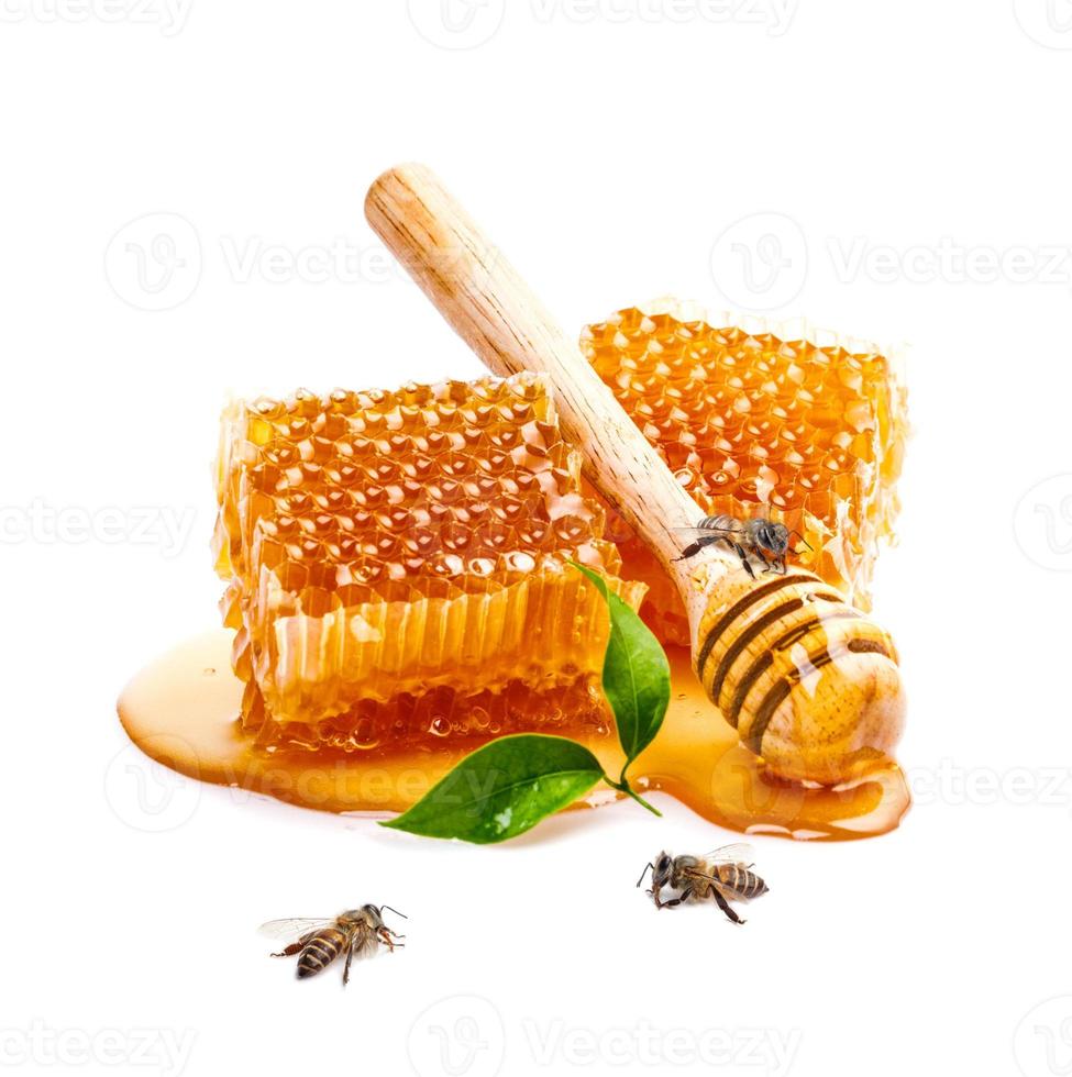 panal con abeja y cucharón de miel aislado sobre fondo de pancarta blanca, productos de abejas por concepto de ingredientes naturales orgánicos foto