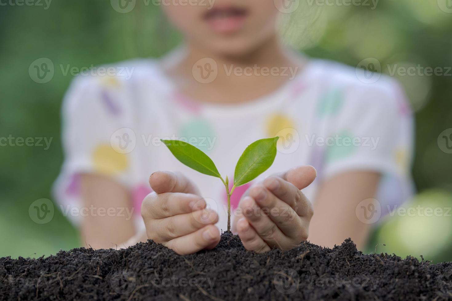 Close up hands little girl holding plant in nature. photo