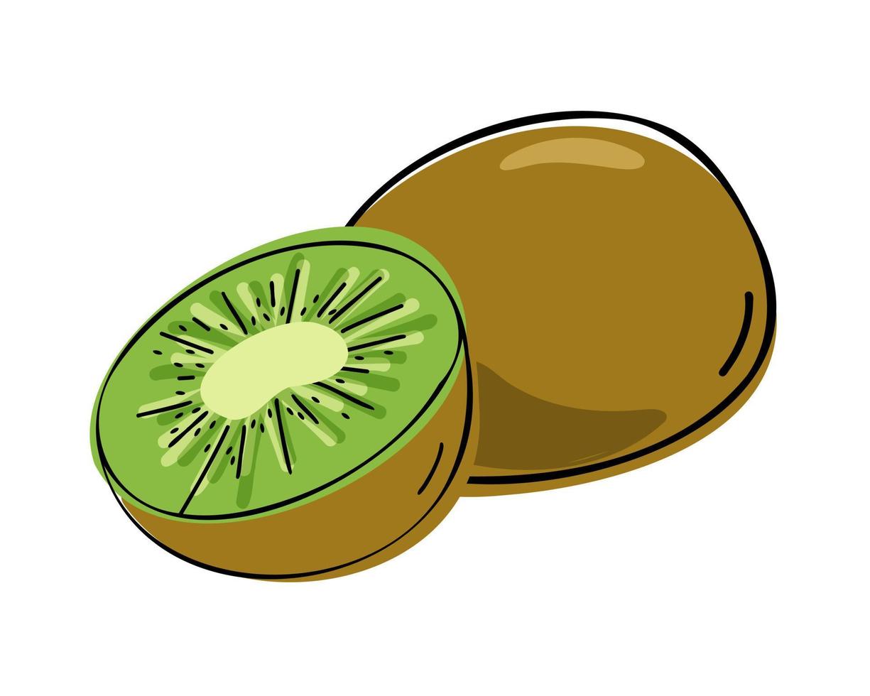 Kiwi whole and slice isolated on white background. Vector illustration hand drawn or doodle style