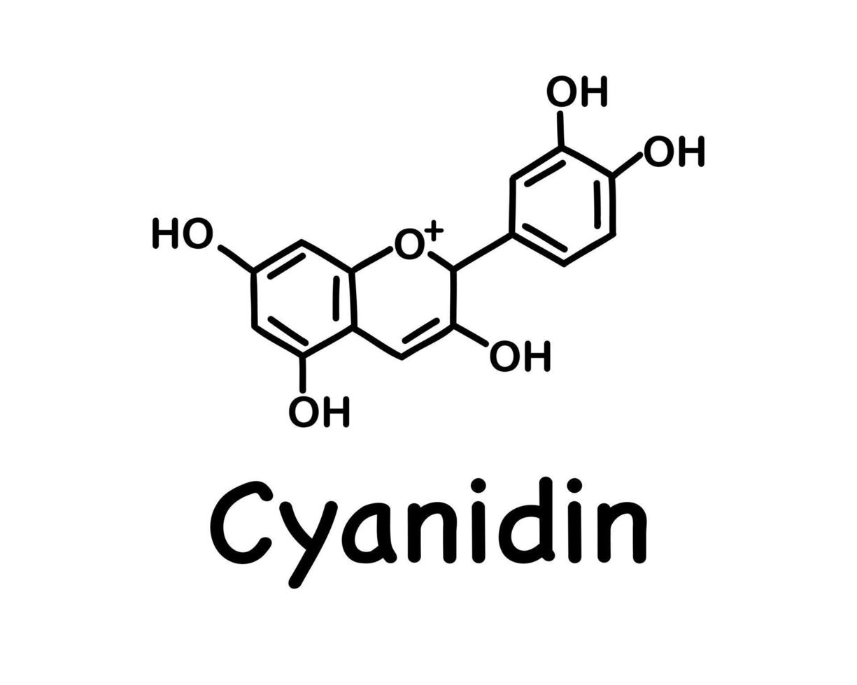 Cyanidin is a natural organic compound, a special type of anthocyanidin. Chemical structure of anthocyanin C15H11O6. vector