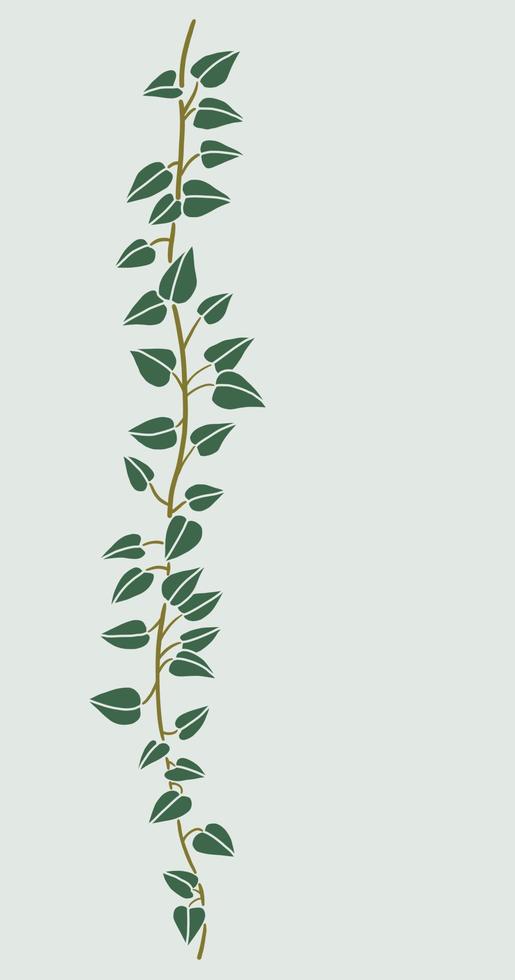 Simplicity ivy freehand drawing flat design. vector