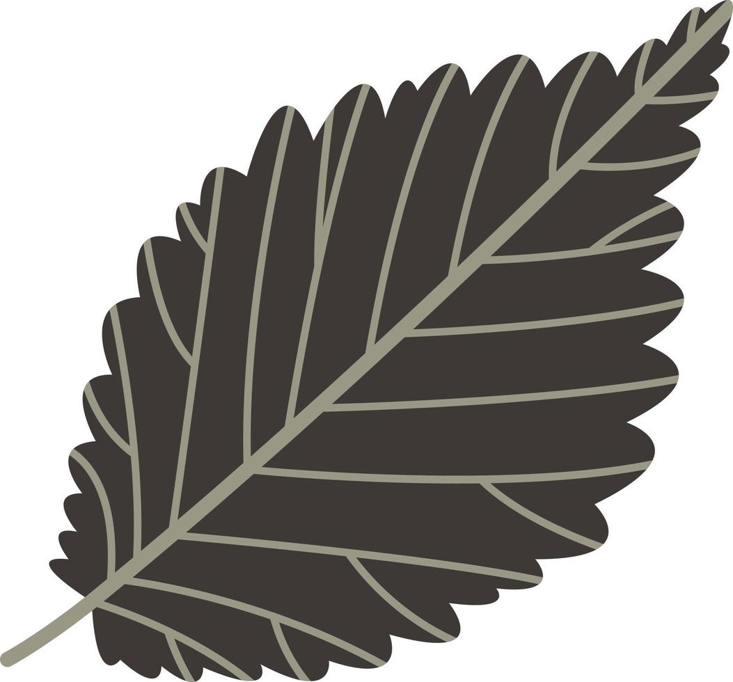 Autumn leaf from a tree. vector