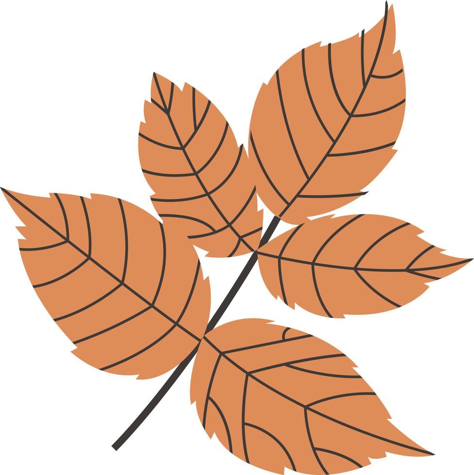 hoja de otoño de un árbol. vector