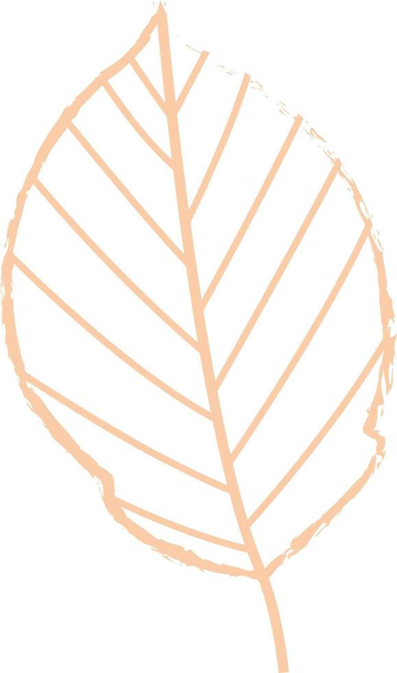 hoja de otoño de un árbol. vector