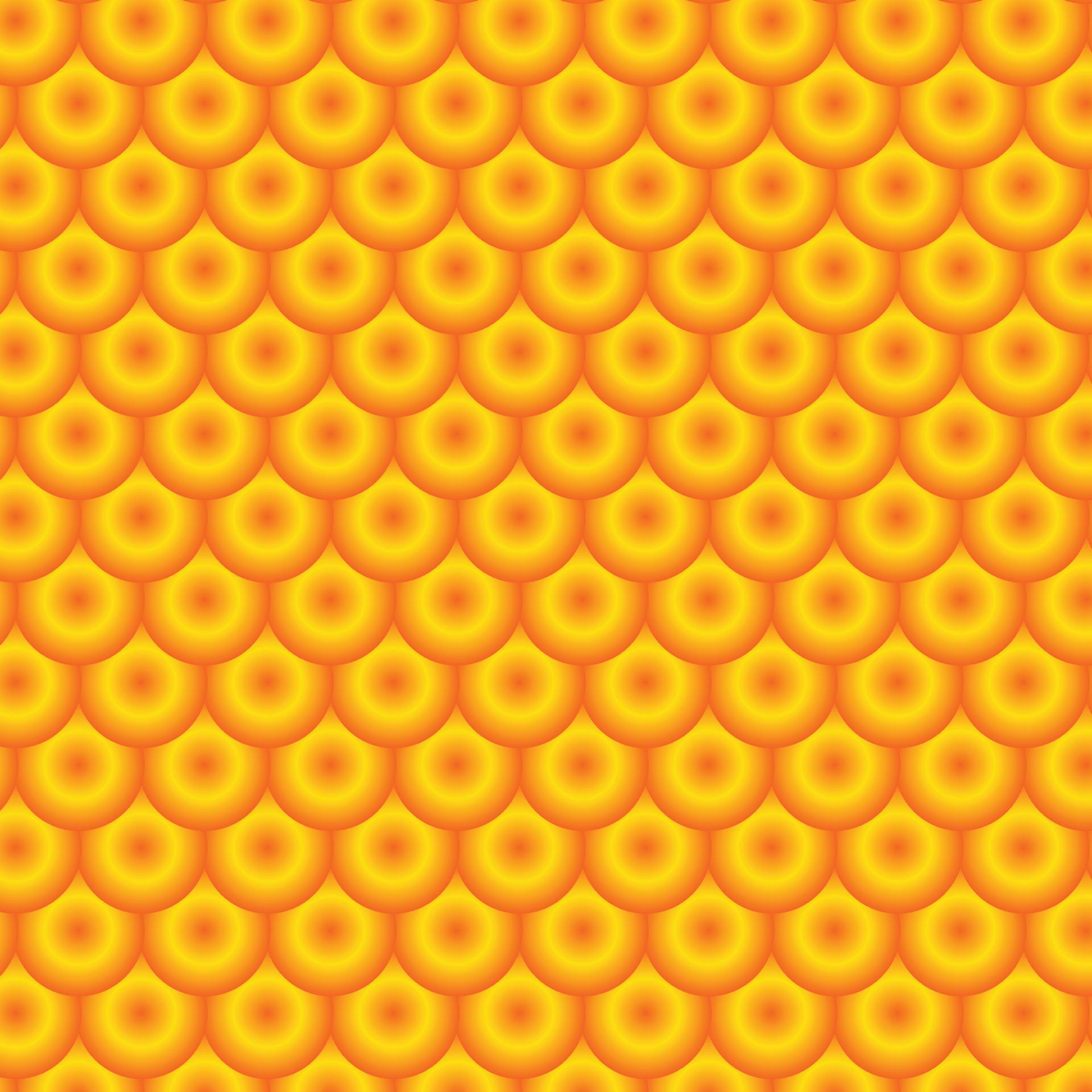 Pattern Design Texture 11644378 Vector Art at Vecteezy