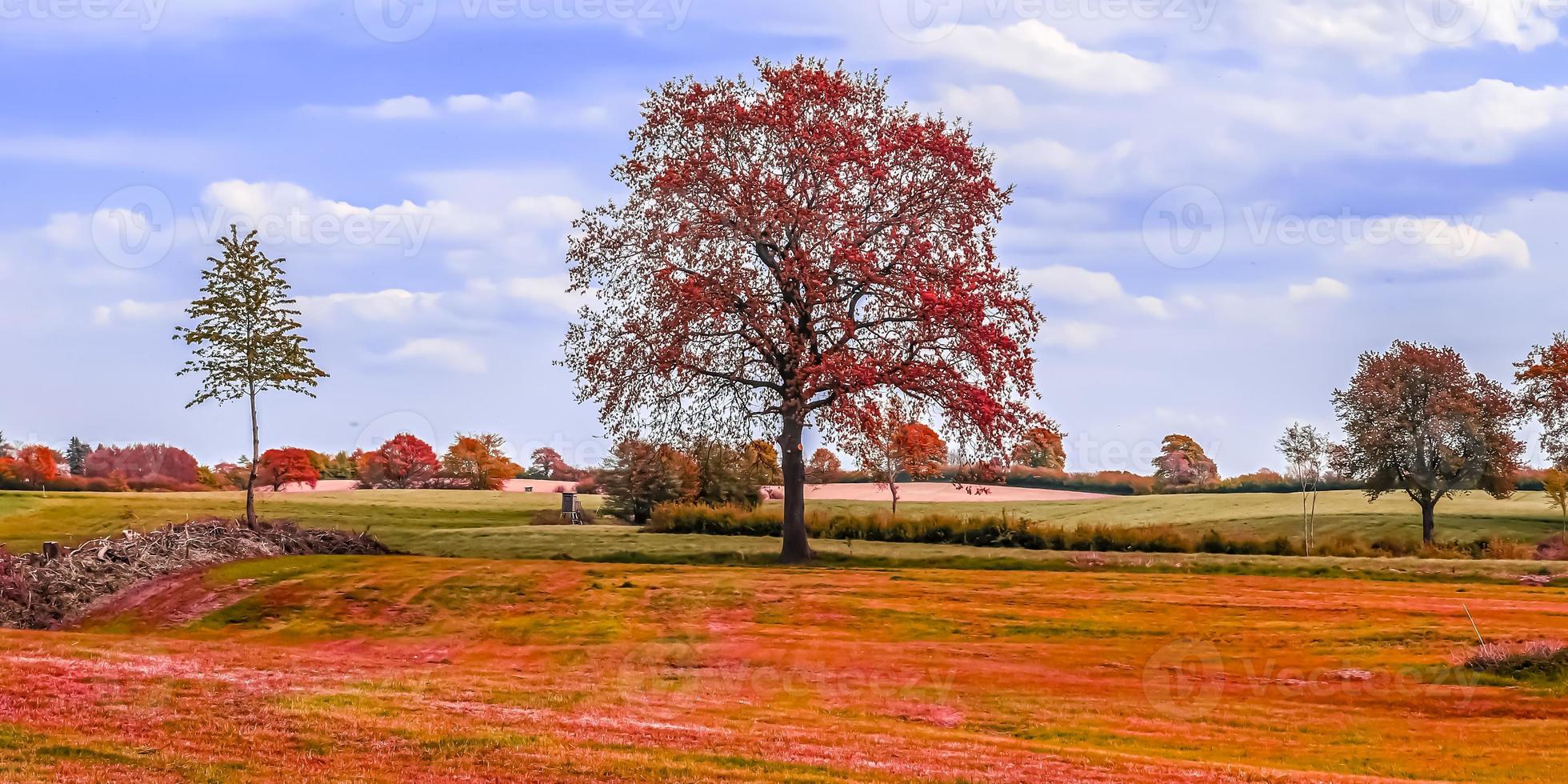 Beautiful panorama view on a golden autumn landscape found in europe photo