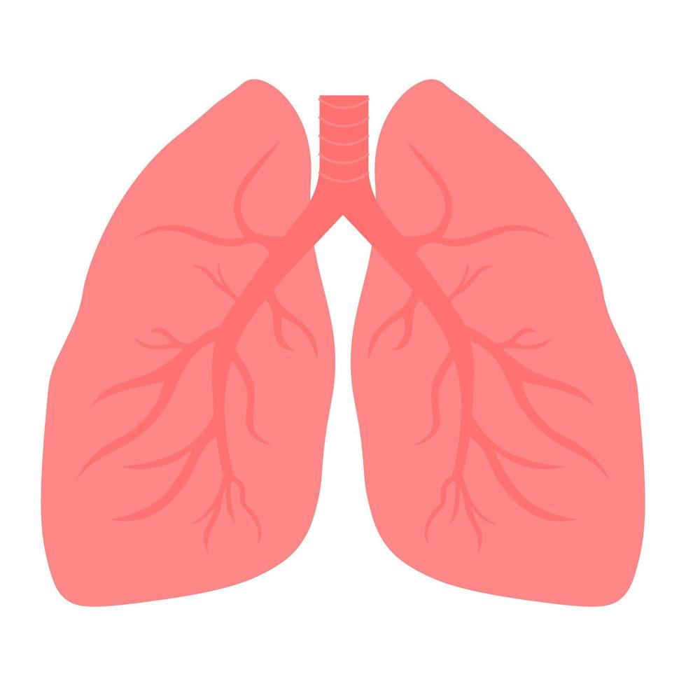 Human lungs icon. Vector illustration.