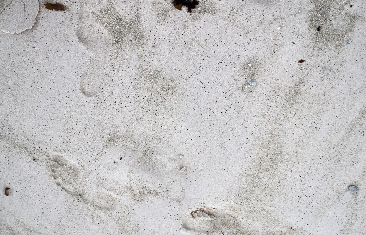 bellas tomas de la arena blanca de la playa en la isla paradisíaca de seychelles con huellas foto