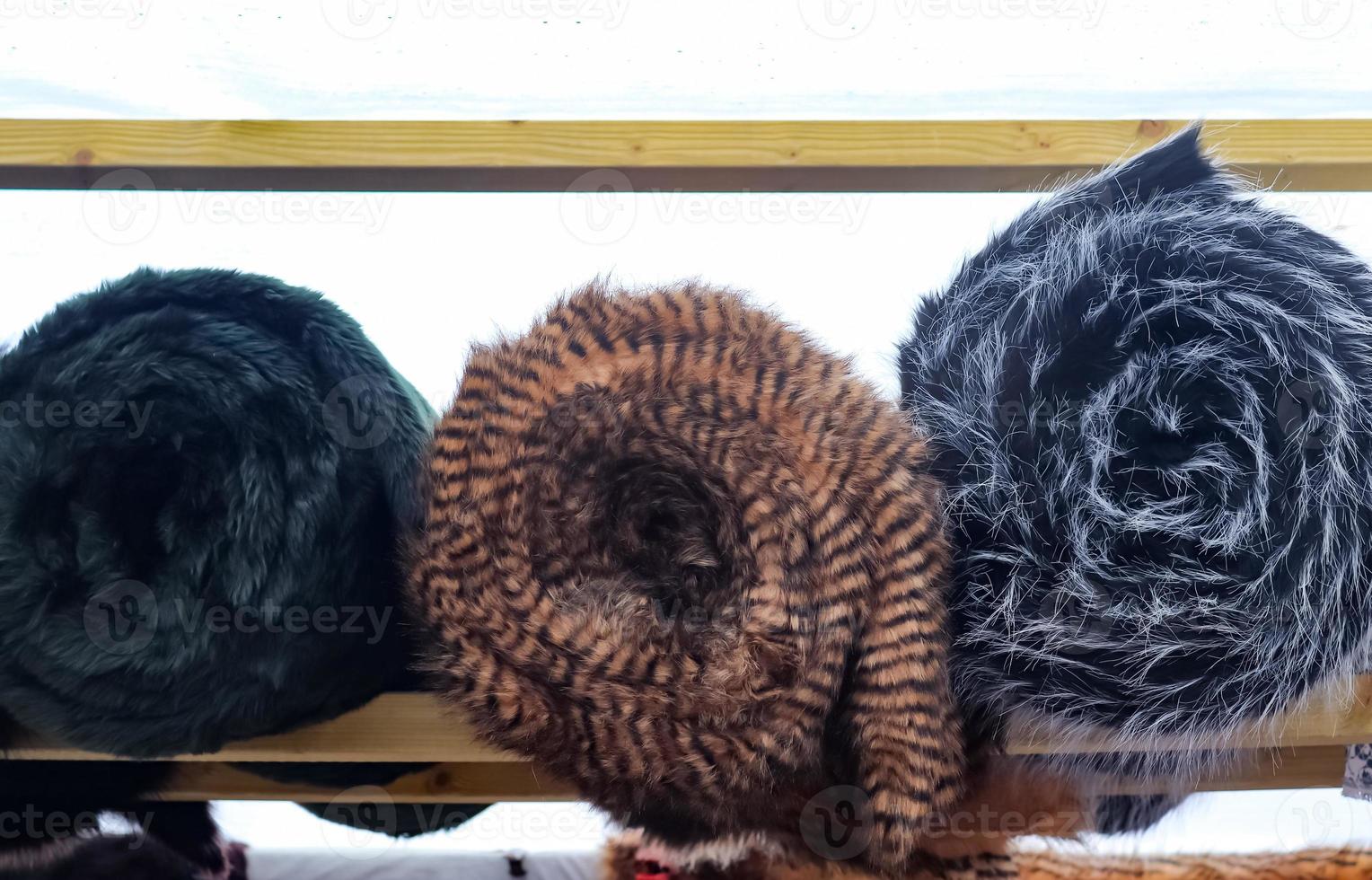 Detailed close up view on samples of cloth and fabrics in different colors found at a fabrics market photo
