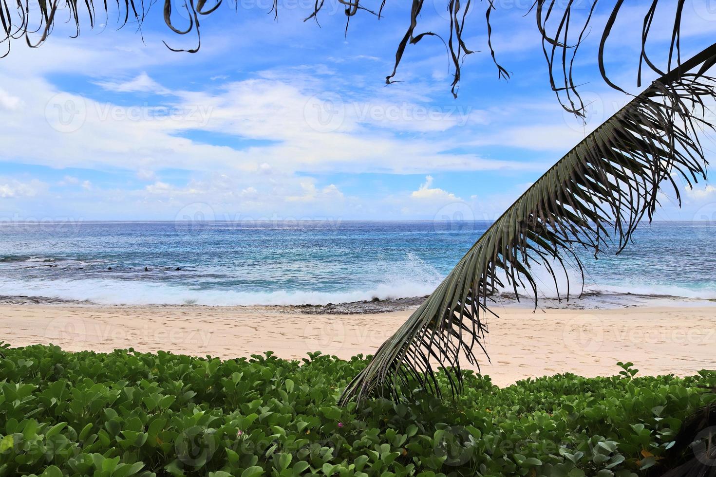 Sunny day beach view on the paradise islands Seychelles photo