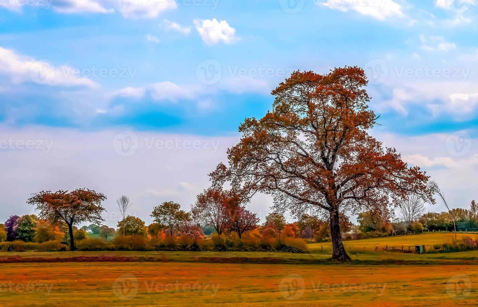 Beautiful panorama view on a golden autumn landscape found in europe photo