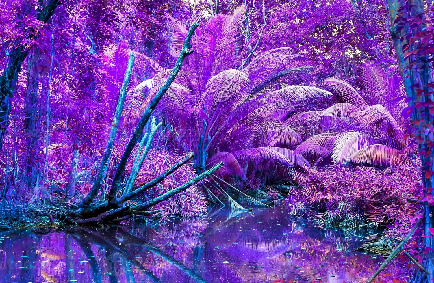 Beautiful fantasy infrared shots of palm trees on the seychelles islands. photo